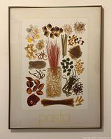 Glass mounted pasta poster showing various types of pasta in a frame with wire hanger