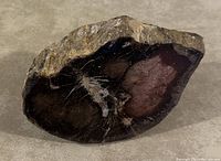 View of petrified wood polished side showing smooth dark brown, black and reddish concentric patterns and grain.