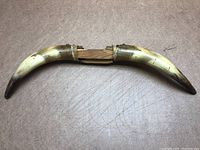 Pair of bull horns connected with a wood mount, showing full length and natural colors.