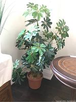 Full view of faux Schefflera plant in plastic pot, showing overall height and appearance.