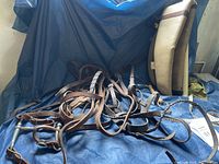 Lot on blue tarp showing two bridles with bits attached, one leather martingale, and a beige soft shell case standing upright.
