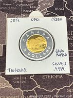 Obverse side of 2019 Canadian Two-Dollar proof coin showing gold plated polar bear and the text 'CANADA 2 DOLLARS', coin encased in a holder with handwritten notes indicating gold plating, 99.99% silver, proof condition.