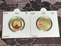Obverse and reverse of 2020 and 2021 Canadian colourized loonie coins in holders