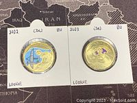 Two 2022 Canadian coloured loonie coins front sides with coloured designs visible, in protective holders with white card frames