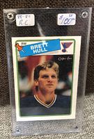 Front photo of the Brett Hull rookie card in a screw-down plastic holder with price and year labels visible.