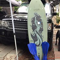 Surfboard with black mermaid graphic leaning against car with blue flippers attached
