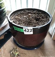 Front view of dark brown ceramic planter with soil, showing sticker with measurements and lot number.