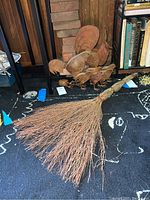 View of large rooster and five smaller chickens near a bookcase, with whisk broom lying on floor in front.
