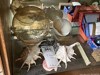 Overview of the lot showing the amber glass globe and various sea shells under glass shelf.