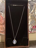 Full view of sterling silver chain necklace with cat cameo pendant on black display stand