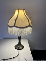Full view of the lamp lit, showing the warm glow through the tasseled fabric shade and fringed edge
