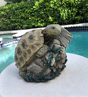 Outdoor turtle sculpture shown near a poolside with green shrubbery background, positioned on a round white surface.