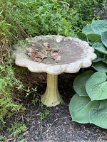 Full view of weathered cement birdbath standing amid plants, showing the pedestal and basin with leaves inside.