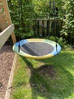 Round saucer tree swing suspended on straps attached to wooden frame in backyard setting