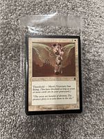 Front view of a Magic: The Gathering card named Mystic Visionary inside a clear resealable team bag.