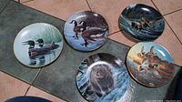 Overview of all five wildlife collector plates arranged on a tiled surface outdoors showing designs including loons, ducks, and a bear