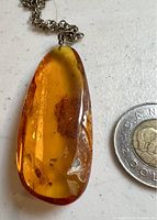 Close-up photo of the amber pendant with a Canadian two-dollar coin for size reference, showing amber's clarity, color, and internal inclusions.