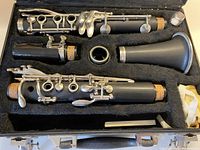 Full set of clarinet parts including bell, upper and lower joints, barrel, mouthpiece, all arranged in a black fitted case.