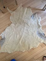 Overview of the lambskin rug/throw laid flat on a wooden floor, showing its natural irregular shape and soft wool side.