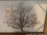 Frontal view of the signed acrylic tree painting on canvas in its frame, showing detailed branches and golden leaves on the left side.