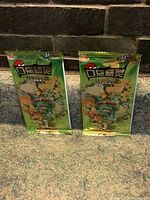 Two green, unopened Pokémon card packs standing upright showing front artworks and Chinese characters.