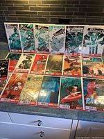 Photo displaying The Punisher comic set issues 1 to 20, arranged and individually bagged.