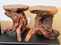 Pair of two irregularly shaped teak wood root stands on black surface, showing polished finish and organic wood grain textures.