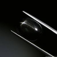 Close-up image of the oval cabochon Black Star Diopside gemstone held by tweezers showing star reflectance on surface.