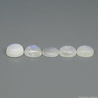 Five oval cabochon rainbow moonstone gems arranged in a row showing translucent white color with blue flash reflections.