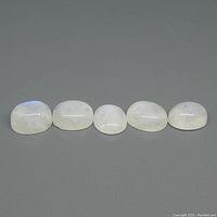 Five oval cabochon rainbow moonstones arranged in a row on a grey surface, showing shape, size, and translucency with blue flash reflections.