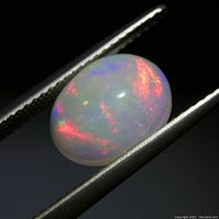Close-up photo of a polished oval cabochon white opal gemstone held by tweezers, showing multi-colored play-of-color mostly red and green hues.