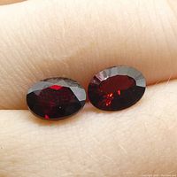 Two oval-shaped deep red Almandine Garnet gemstones resting on skin, showing their size and color under natural light.
