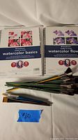 Overview photo showing two watercolor lesson books and a collection of assorted artist brushes with green and blue handles.