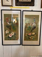 Front view of both framed Asian art peacock pictures hanging on a wall with visible reflections on glass.