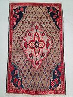Top view of the Persian rug showing central medallion with geometric and floral motifs in red, beige, navy blue, and pink colors.