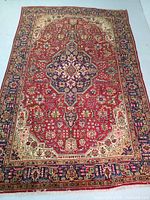 Full view of rug showing central medallion and border patterns
