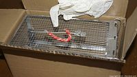Small animal capture cage inside a cardboard box. The cage is rectangular wire mesh with a spring-loaded door and a red trigger handle inside.