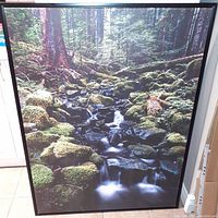 Framed photograph showing mossy forest stones and flowing water in a natural setting.