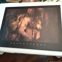 Photographic print of a wolf in forest shadows with 'BRANDENBURG' text below on a black border, presented on hardboard.