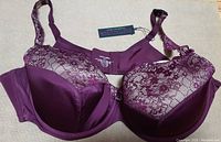 Front view of purple velvet Curvy Couture bra with floral lace overlay, padded cups, and attached tag.