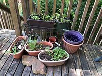 Full view of metal wire planter stand surrounded by various pots with plants and soil on wooden deck.