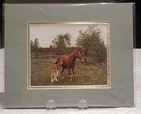 Frontal image of signed matted print of horses sealed in plastic with muted green matte and gold trim.