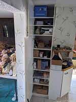 White cupboard shelves with various boxes and small electrical devices inside, adjacent to wallpapered walls and a room with dolls visible.