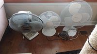 Four fans displayed on the floor, showing various sizes and brands, including Classic and HomeStyles.