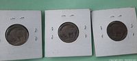 Front side view of three Buffalo Nickels in protective sleeves arranged horizontally, showing the bison on each coin's reverse side.