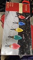 Box of Holiday Living Path Lights showing colorful large bulb style LEDs mounted on stakes.