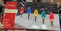 Front box showing the Holiday Living 5 count path lights with multicolor bulbs and stakes.