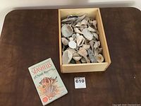 Wooden box filled with various seashells and a book titled 'Seashells of North America' placed beside it.