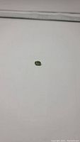 Oval cut green chrome diopside gemstone on white background, showing gem color and clarity in detail.
