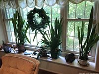 Wide view of the windowsill showing three live plants, a green foliage wreath hanging in window center, wood carved African mask near left end, and various small decorative items including a Jerusalem plate and pinecone cluster
